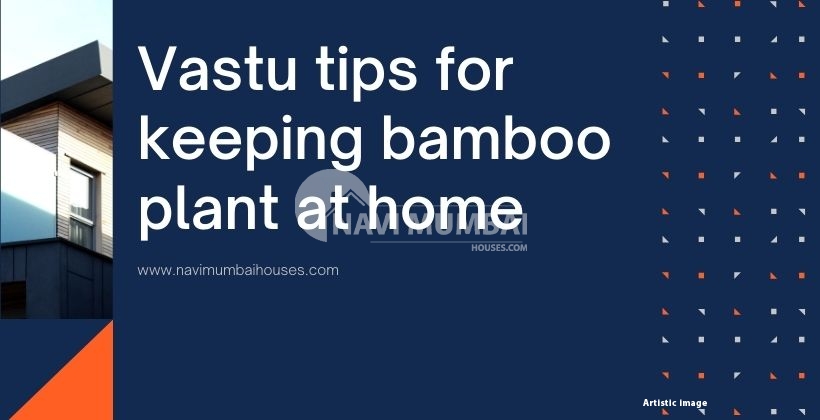Vastu ideas for maintaining bamboo plant in the house