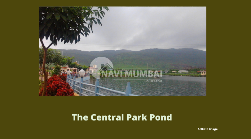 Pond in Kharghar Navi Mumbai
