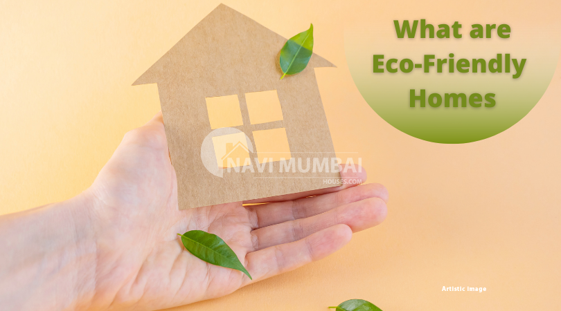 Eco-Friendly Homes