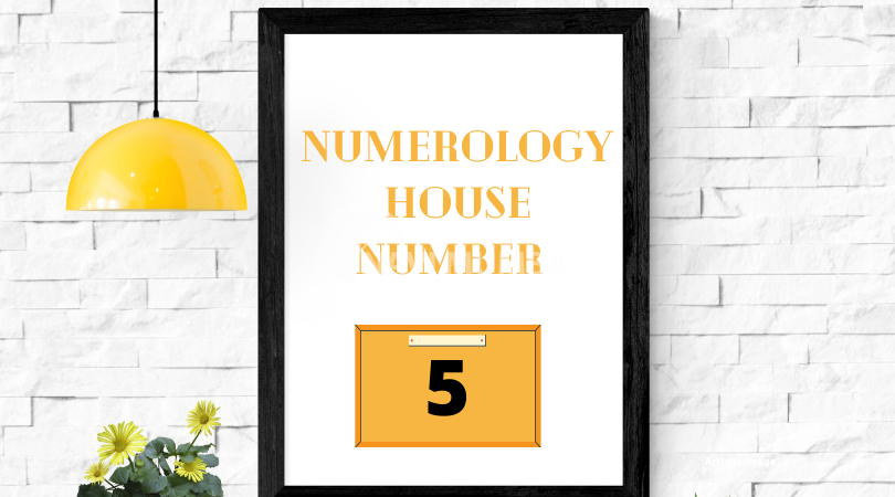 Numerology House Number 5