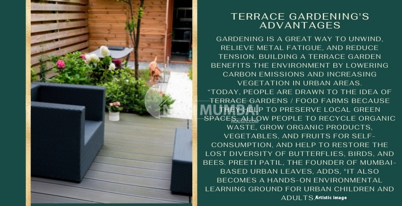 Terrace gardening advantages
