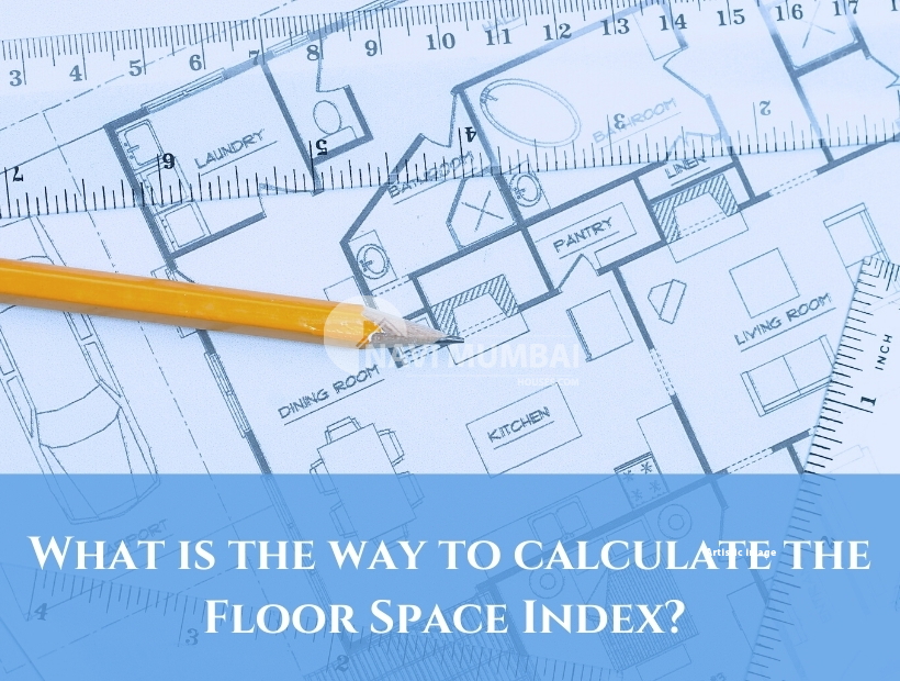 Psychological Value of Space – IELTS Reading Answers