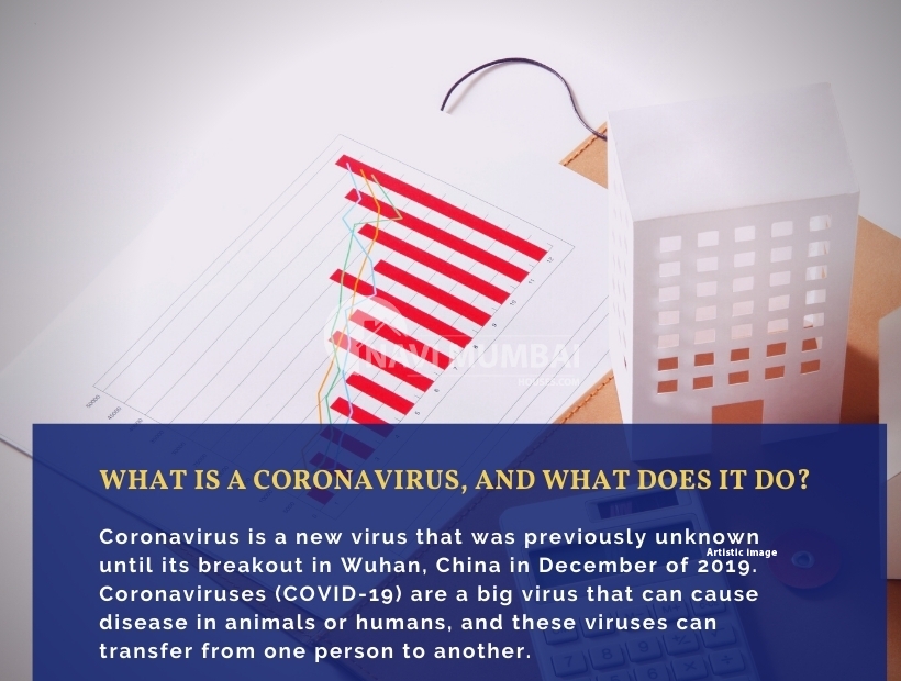 A Coronavirus-Free Society (COVID-19)
