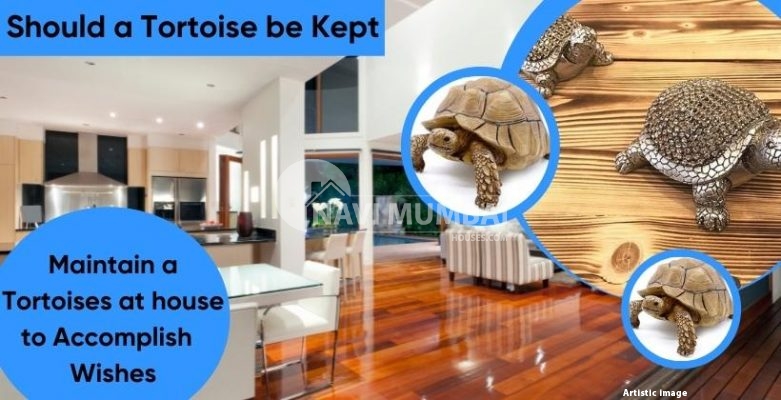 Using a Tortoise In Your Home Decor Brings Prosperity and Luck.