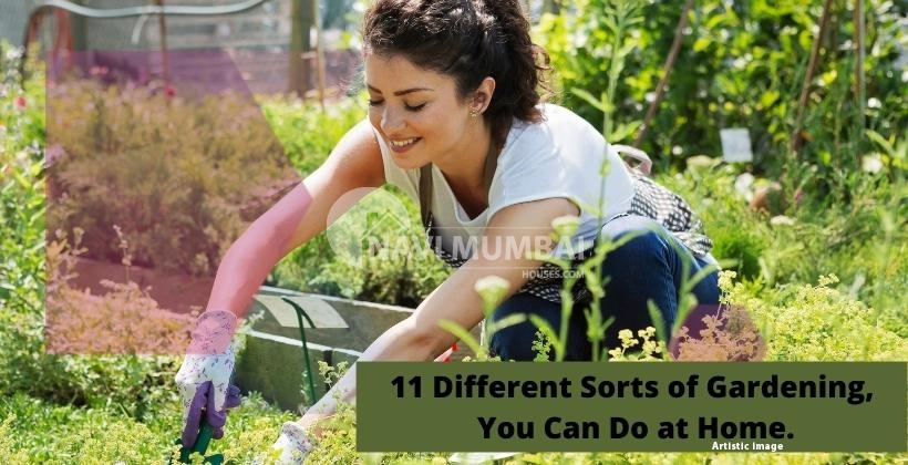 11 different sorts of gardening, you can do at home.