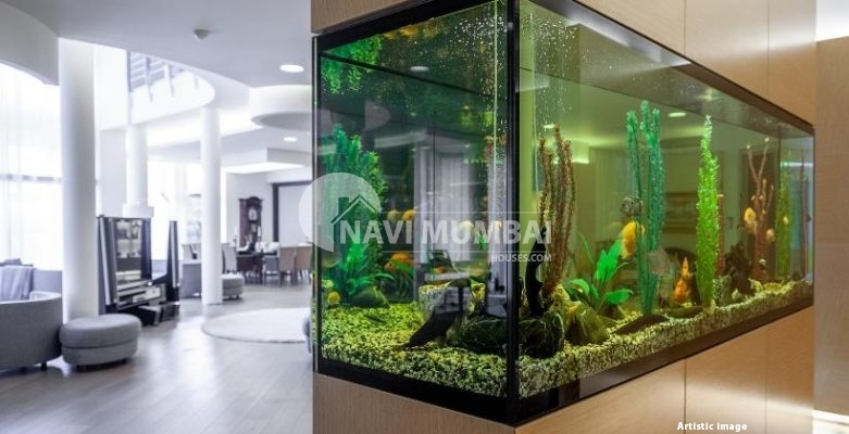 How to Decorate Your Fish Tank: Dos and Don'ts - PetHelpful