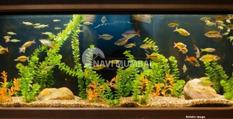 Best Natural-Looking Aquarium Decorations | PetGuide
