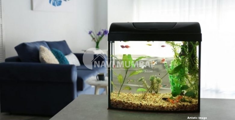Creative Fish Tank and Aquarium Designs for Your Home