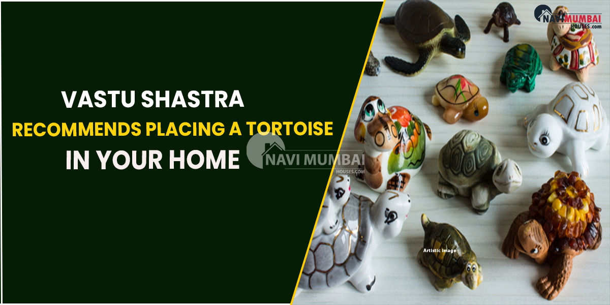 Vastu Shastra Recommends Placing a Tortoise in Your Home