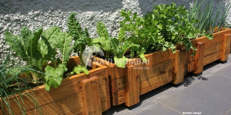 Simple Methods for Creating a Kitchen Garden At Home