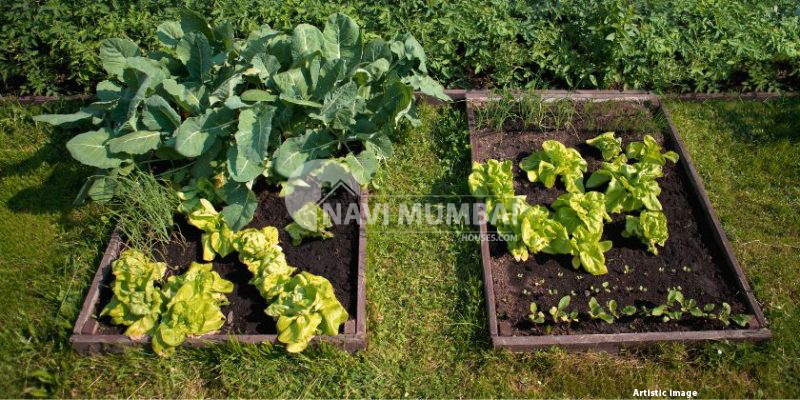 Simple Methods for Creating a Kitchen Garden At Home