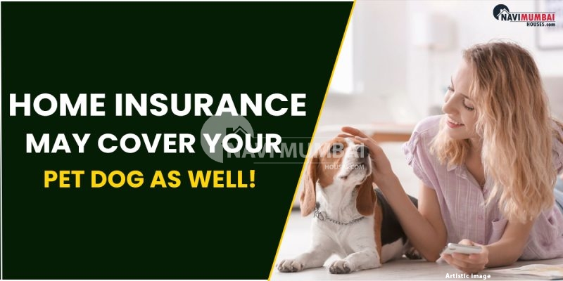 Home Insurance May Cover Your Pet Dog As Well!
