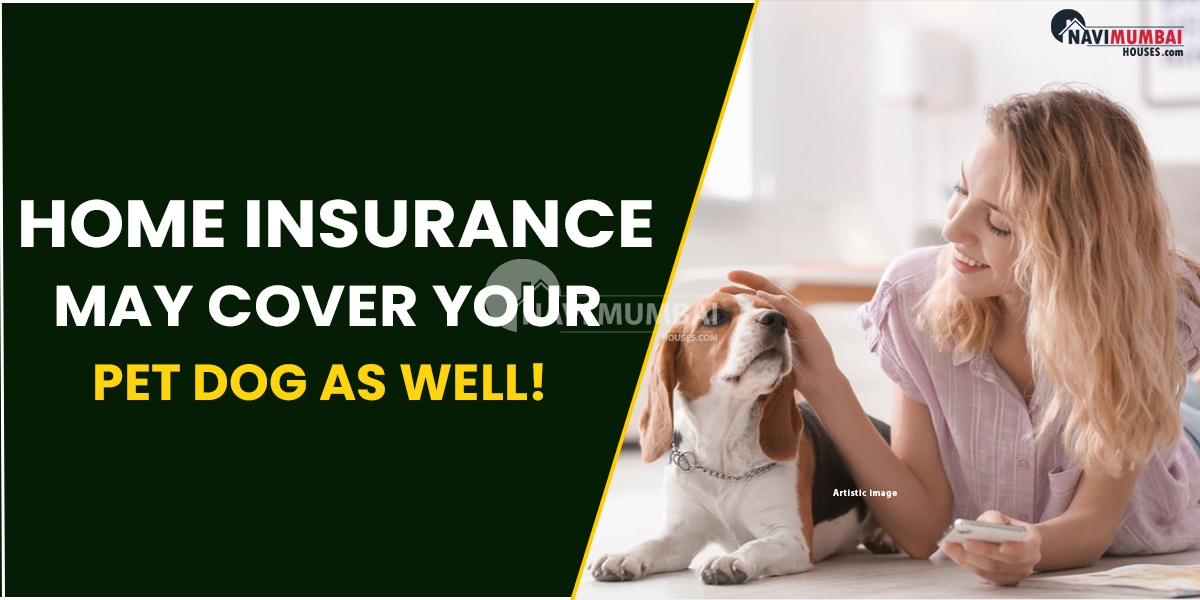 Home Insurance May Cover Your Pet Dog As Well!
