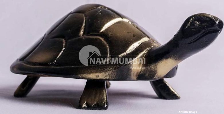 Vastu Tips : 15 Tortoise Types That Are Ideal for Your Home