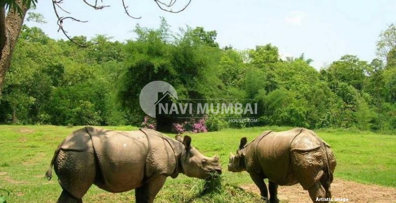 Guwahati Tourist Attractions For An Unforgettable Vacation