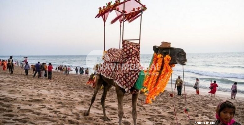 Gujarat places to visit for an unforgettable experience
