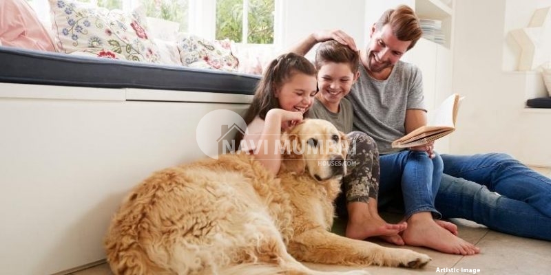 During the monsoons, how to prevent pet odour in your home