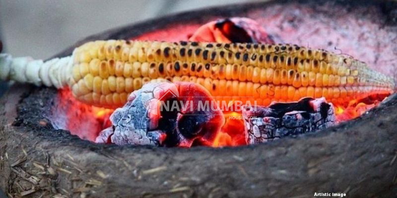 Must-have food in Lonavala