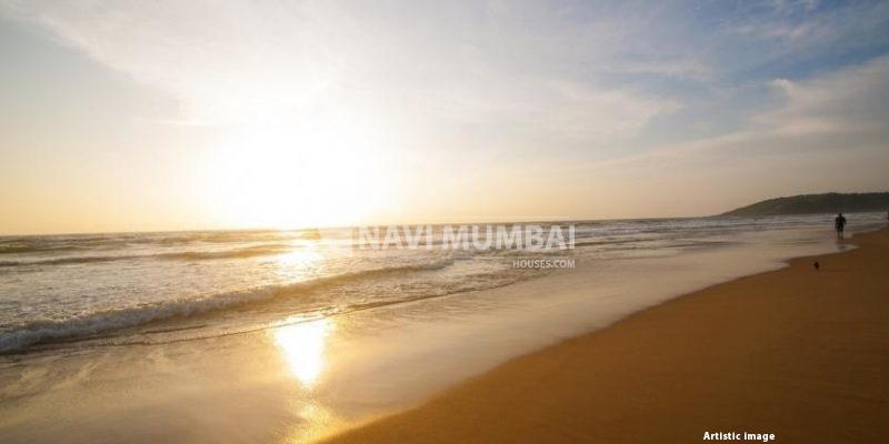  Destinations to see in south Goa on your next travel