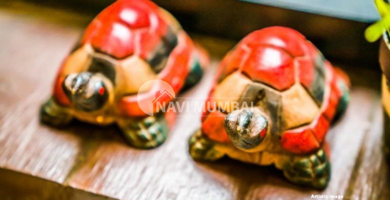 Vastu Tips : 15 Tortoise Types That Are Ideal for Your Home