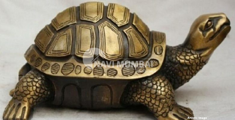 Vastu Tips : 15 Tortoise Types That Are Ideal for Your Home