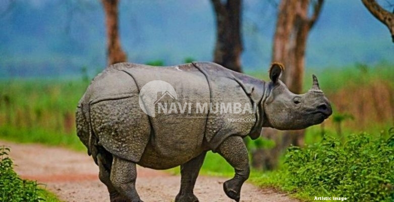 Guwahati Tourist Attractions For An Unforgettable Vacation