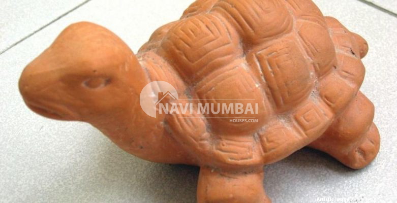 Vastu Tips : 15 Tortoise Types That Are Ideal for Your Home