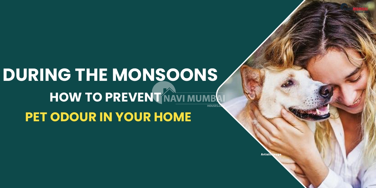 During The Monsoons, How To Prevent Pet Odour In Your Home