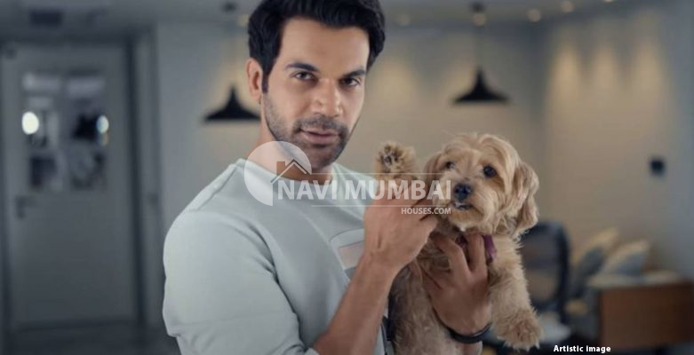 Rajkummar Rao's Mumbai Home: Everything You Need To Know About The Actor's Lavish House