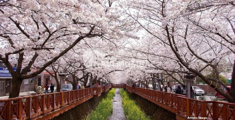 20 South Korean Destinations To Visit In 2022