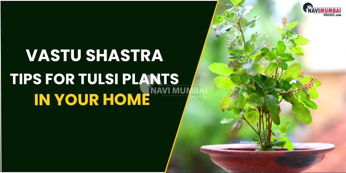 Vastu Shastra Tips For Tulsi Plants In Your Home