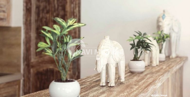 Elephant Showpiece Vastu : Feng Shui Placement Tips 