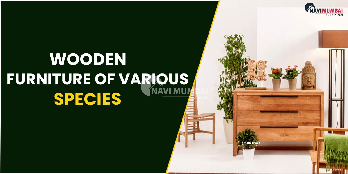 Wooden Furniture Of Various Species
