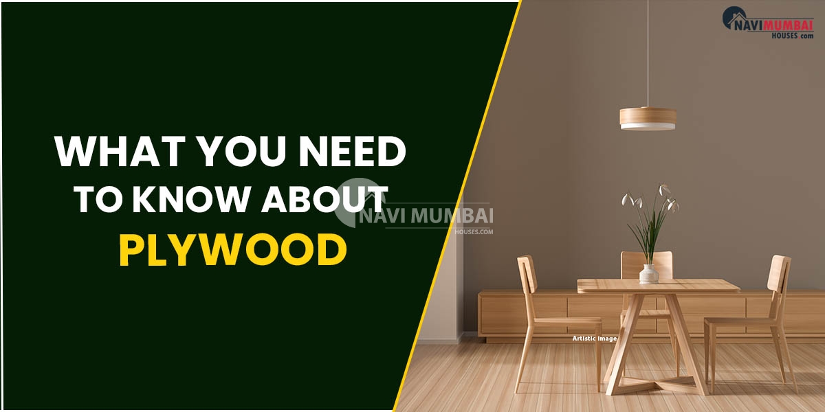 What You Need To Know About Plywood