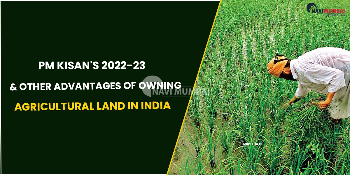 PM Kisan's: Advantages Of Owning Agricultural Land In India