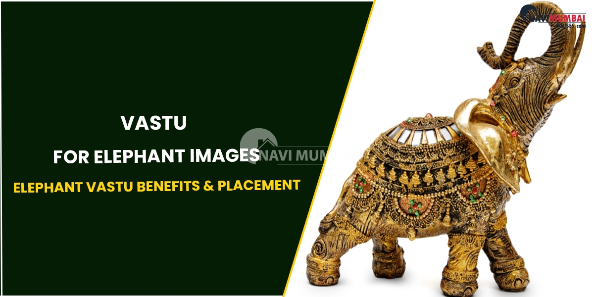 Vastu For Elephant Images - Elephant Vastu Benefits & Placement