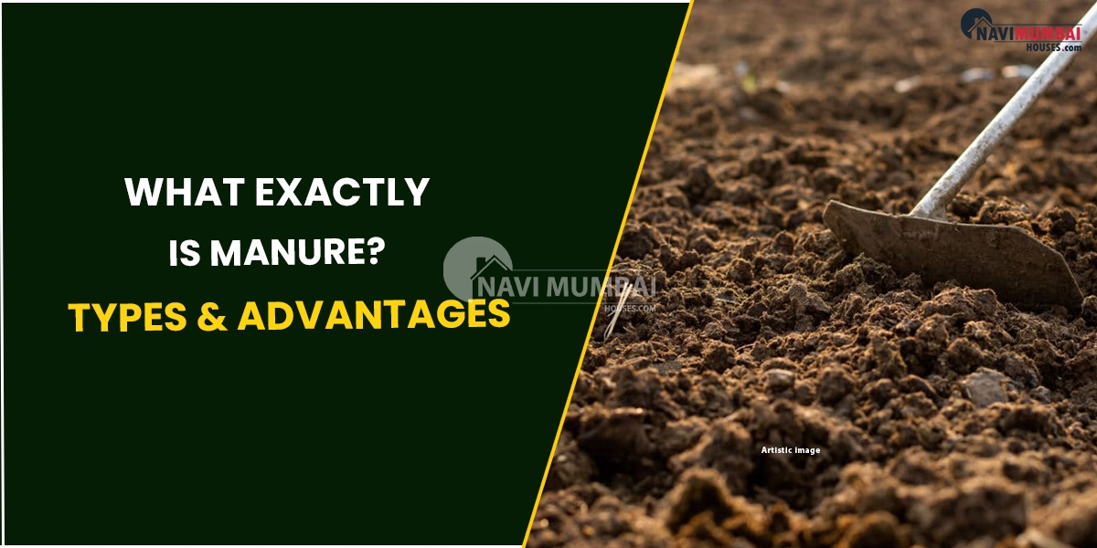What Exactly I Manure? Manure Tpes & Advantages
