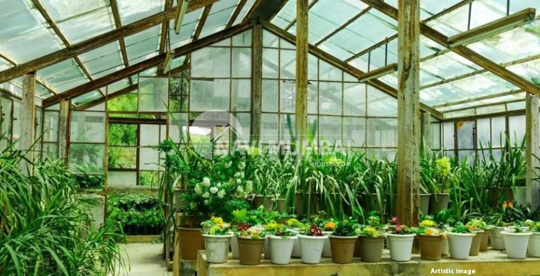 Are You Familiar With The Greenhouse & Various Types Of Greenhouses?