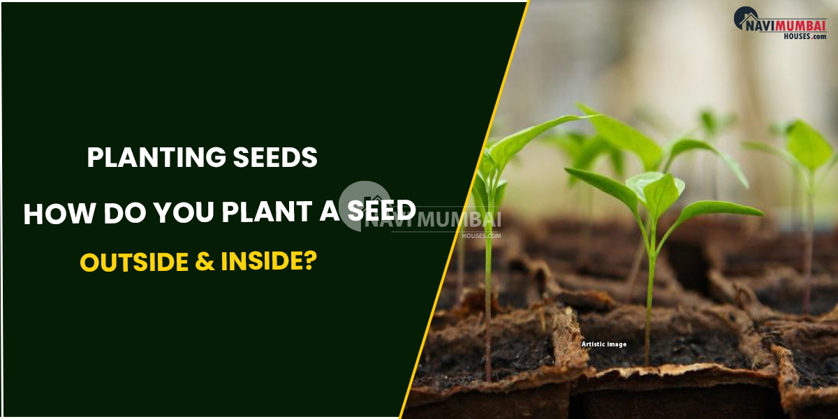 Planting Seeds: How Do You Plant A Seed Outside & inside?