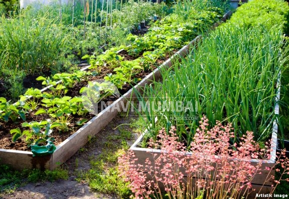 The Best Ideas For Creating A Lovely Home Garden