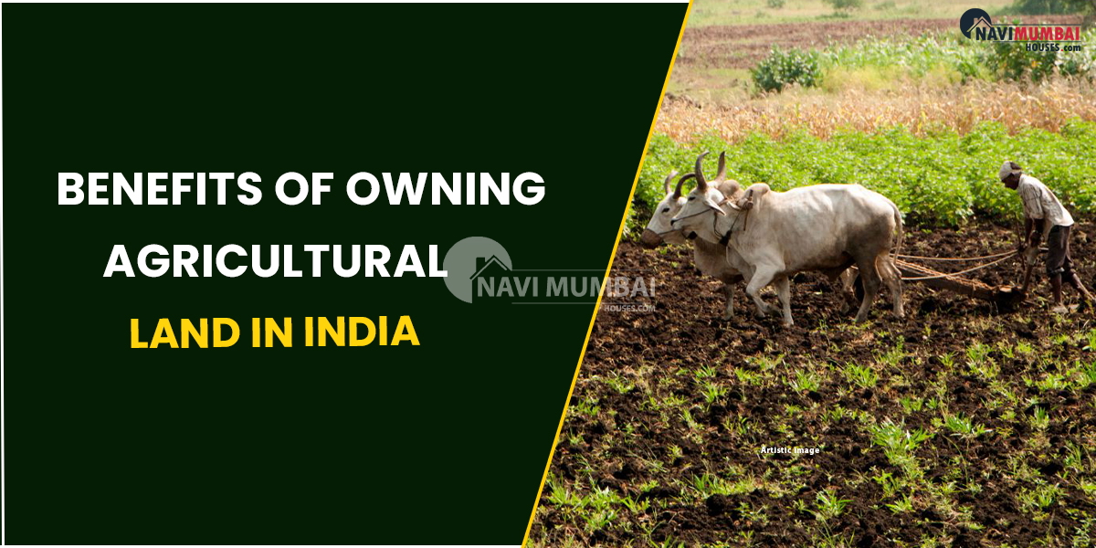 Benefits Of Owning Agricultural Land In India: PM Kisan 2022–2023