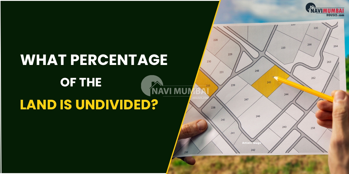 What Percentage Of The Land Is Undivided?