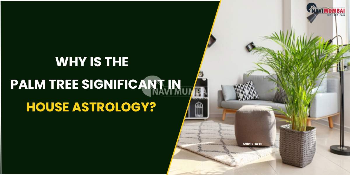 Why Is The Palm Tree Significant In House Astrology?