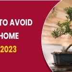 Plants to Avoid at Home in 2023