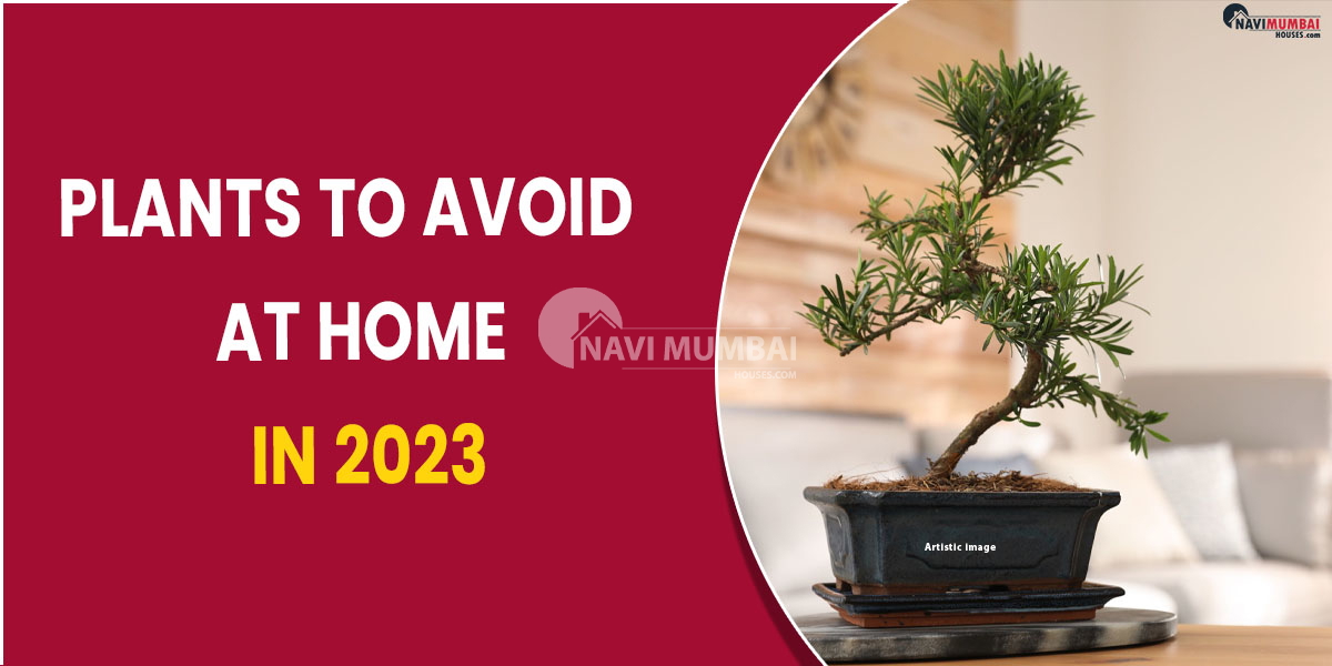 Plants to Avoid at Home in 2023