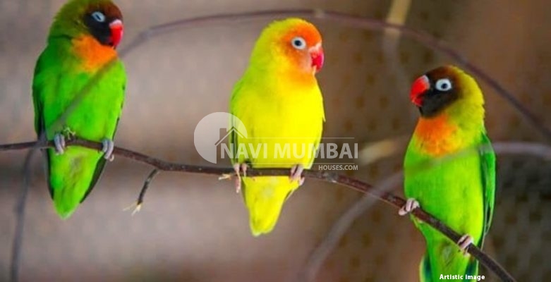 Vastu Animals : Tips For Keeping Birds & Pets At Home