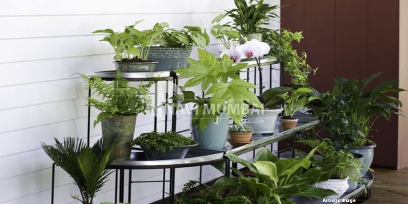 Ideas for plant stands to improve your home's decor