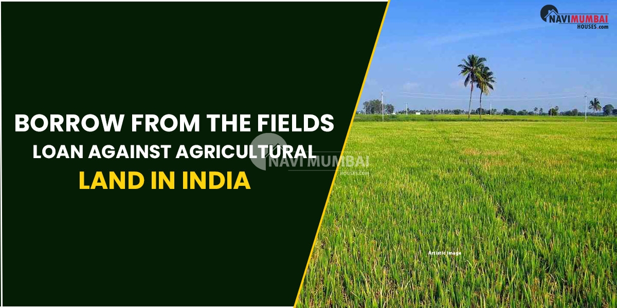 Borrow From The Fields: Loan Against Agricultural Land In India
