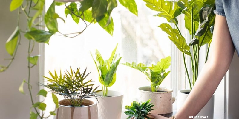 Living Room Artificial Plants | Artificial Plants for Home Decor