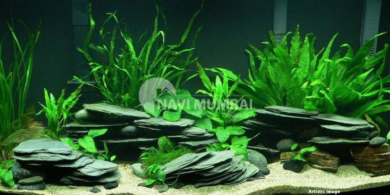 Aquariums or fish tanks can offer your home's interiors an attractive appearance while fostering a relaxing atmosphere. 
